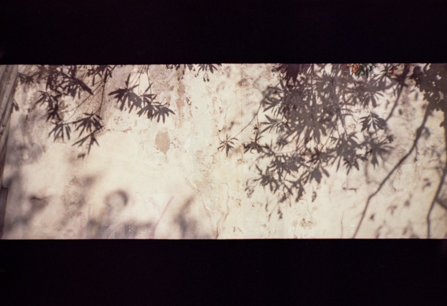 Analog_2017_07-08 (10)